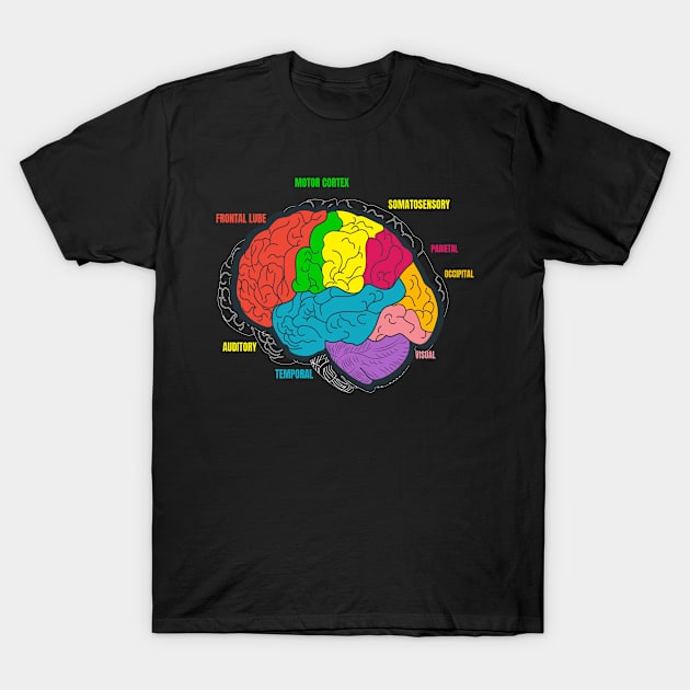 Diagram Brain Neurology Science T-Shirt by MooonTees